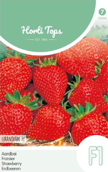 Strawberry Grandian F1 (Fragaria) 20 seeds HT
